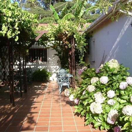 Vine Guesthouse Stellenbosch Luaran gambar