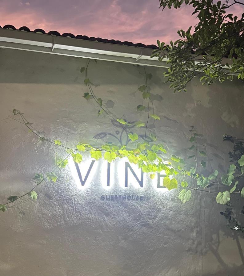 Vine Guesthouse Stellenbosch Luaran gambar