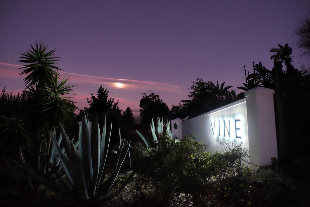 Vine Guesthouse Stellenbosch Luaran gambar