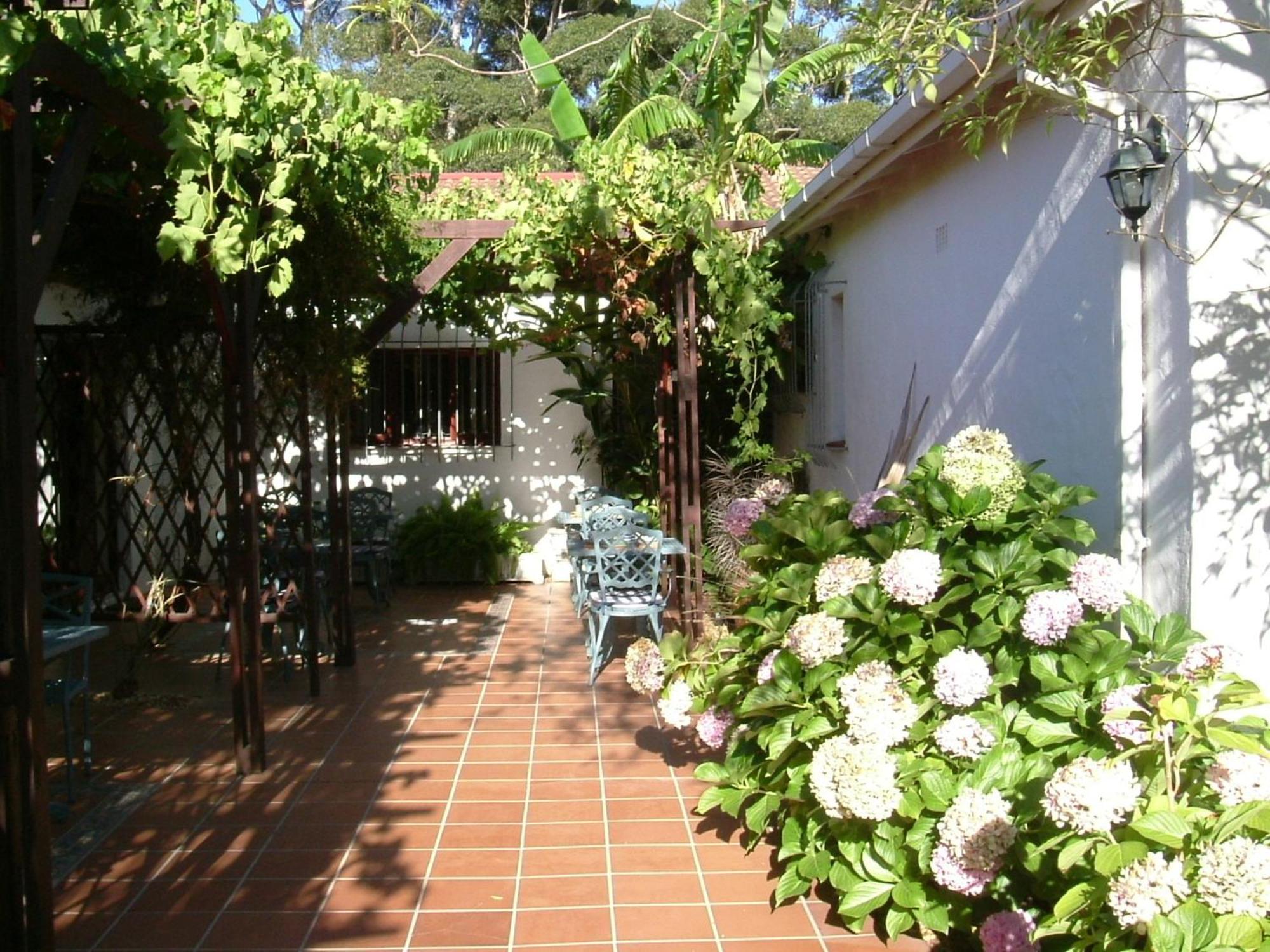 Vine Guesthouse Stellenbosch Luaran gambar