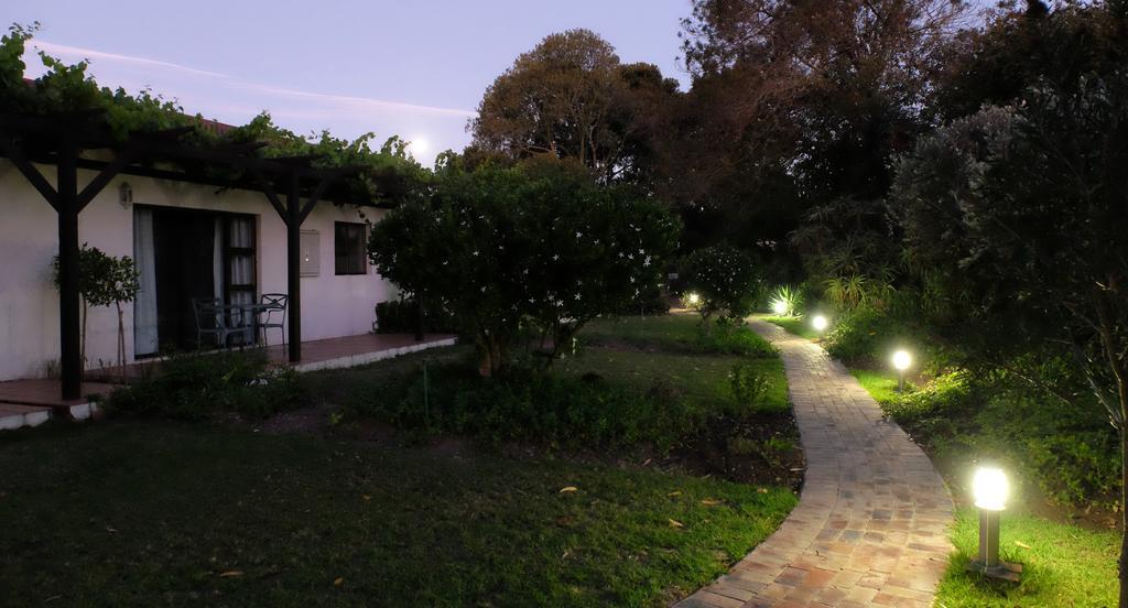 Vine Guesthouse Stellenbosch Luaran gambar