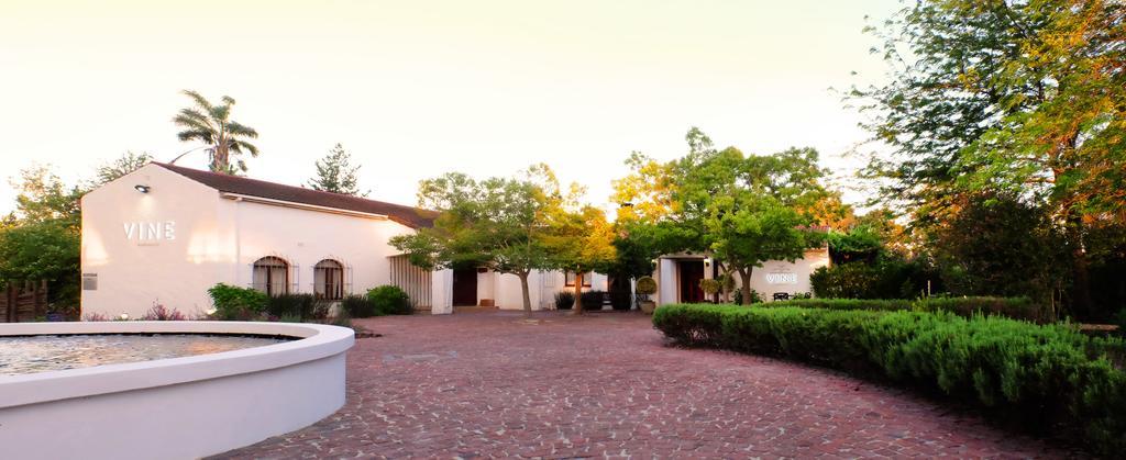 Vine Guesthouse Stellenbosch Luaran gambar