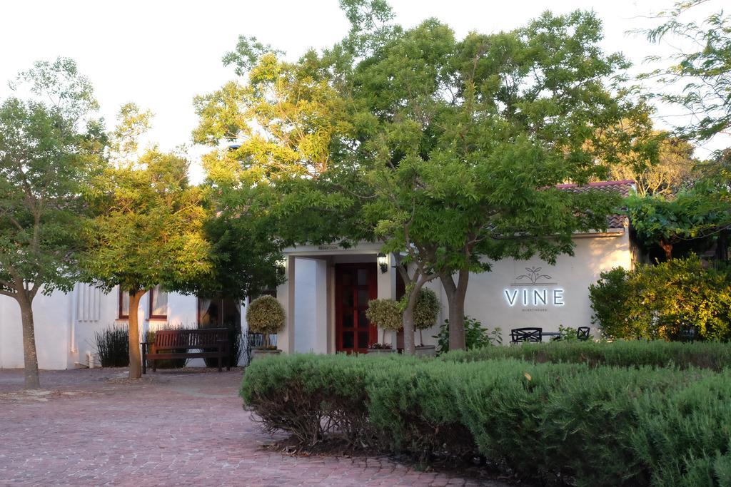 Vine Guesthouse Stellenbosch Luaran gambar