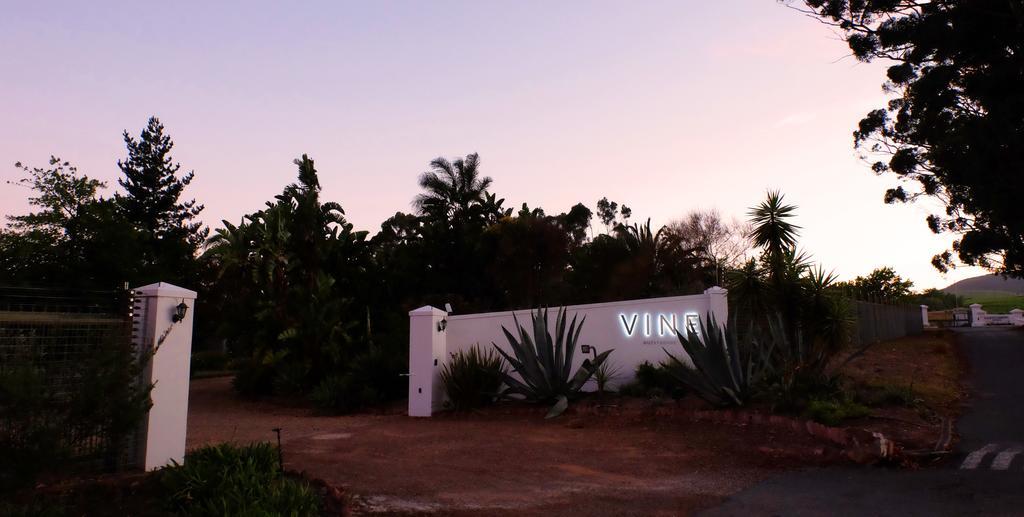 Vine Guesthouse Stellenbosch Luaran gambar