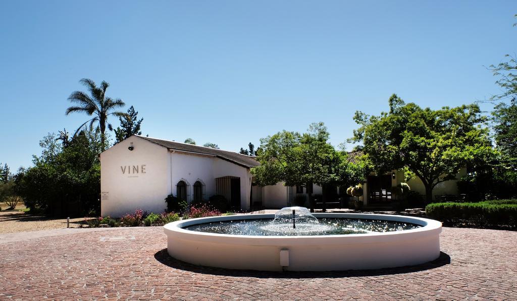 Vine Guesthouse Stellenbosch Luaran gambar
